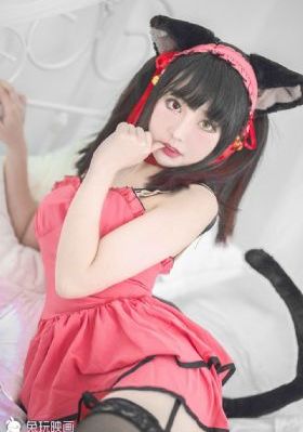 国产精品美女主播视频_DVD在线观看电视